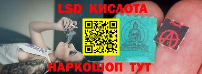 PSILOCYBIN Будённовск