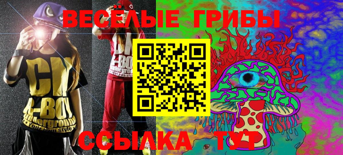 Галлюциногенные грибы Psilocybe Азов